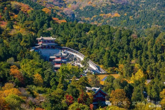 香山售楼处发布：印香山稀缺席位恭候CQ9电子登录注册♨热销中！@印(图6)