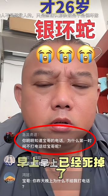 博主两天涨粉200万电话被打爆交给朋友接听CQ9电子三亚女游客被蛇咬身亡事件带火蛇类(图3)