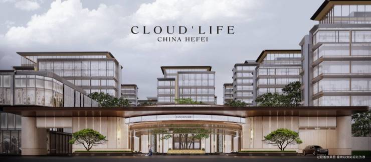 盘解读-合肥城轨庐月汀雲楼盘详情丨详情C