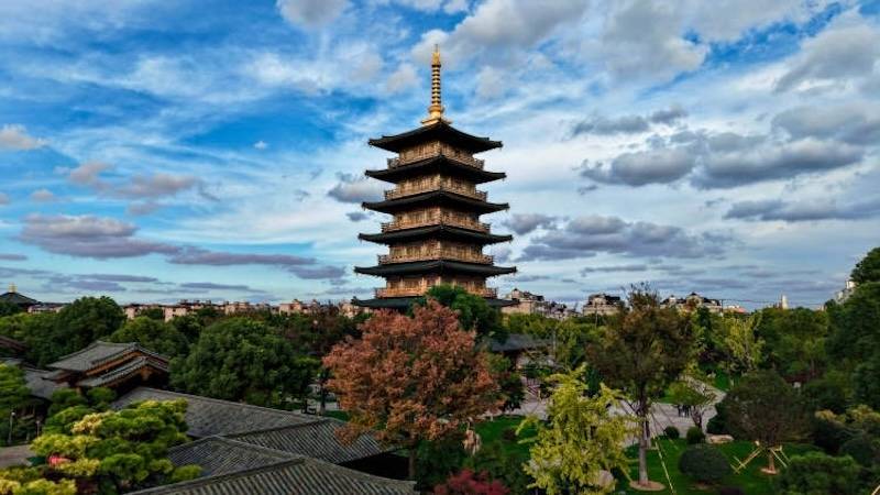 暖春灯会：灯映罗溪春风华是江南CQ9电子专用平台古镇罗店的(图13)